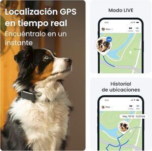 NuevoTractivePerroGPS